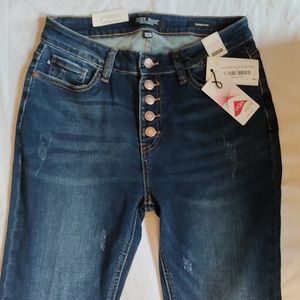 Judy Blue Button Fly High Waisted Skinny Jeans